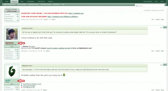 digitalpoint.webp