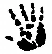 imagesBGYRO63T.webp
