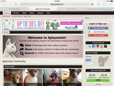 image.webp