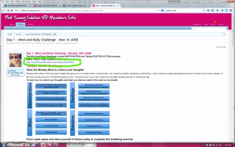 embed.webp