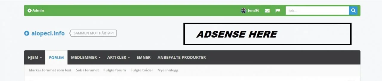 adsense.webp