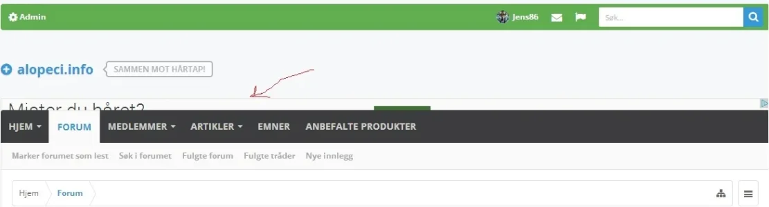 adsense.webp