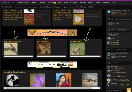 thread grid.webp