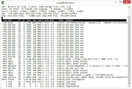 siege.webp