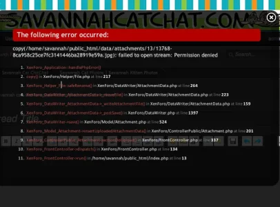xf-issue.webp