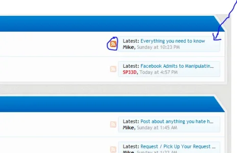 Capture.webp
