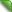 online-indicator.webp