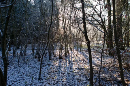 1D404845.webp