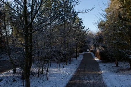 1D405024.webp