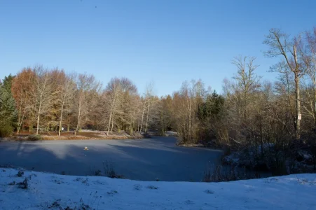 1D404871.webp