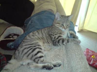 P020410_16.08.webp