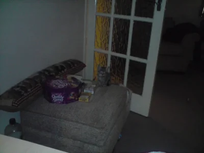 P071109.webp
