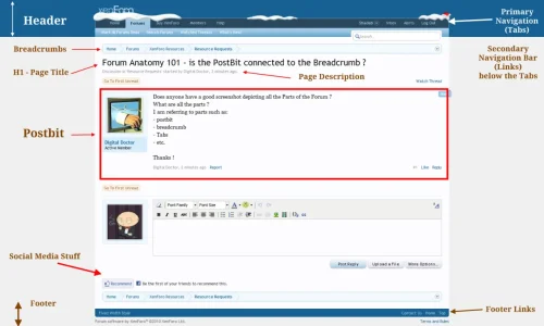 Forum Anatomy.webp