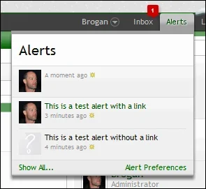 alert.webp