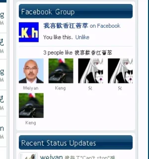 facebookWidget.webp