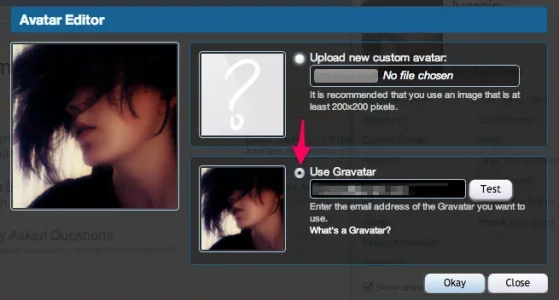 gravatar_enabled.webp