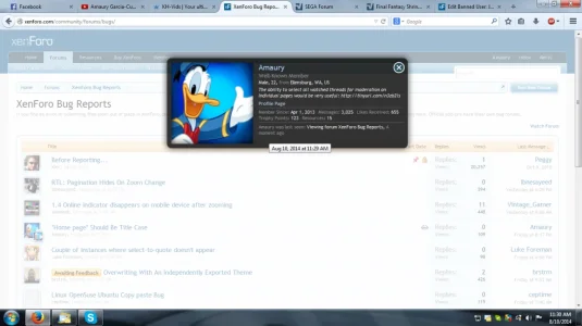 Bug 1.webp