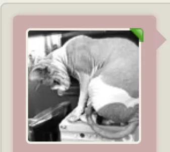 Screen Shot 2014-08-14 at 6.08.02 AM.webp