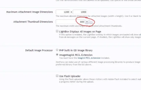 thumbs.webp