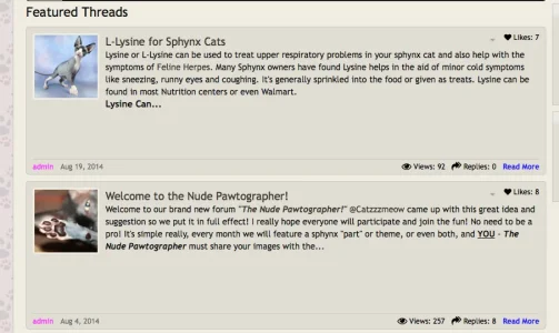 Screen Shot 2014-08-31 at 6.08.59 AM.webp