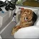 Cal.webp