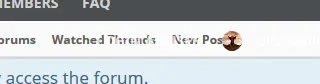 scrunched.webp
