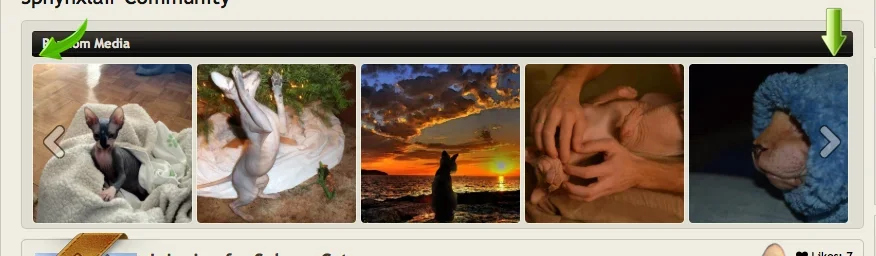 Screen Shot 2014-09-17 at 4.57.55 AM.webp