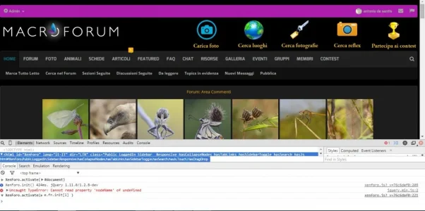 notifications.webp