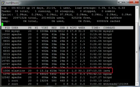 bug.webp