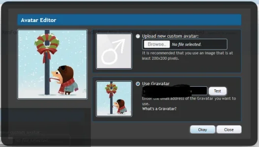 gravatar-avatar.webp
