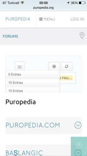 3.webp