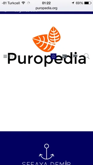 1.webp