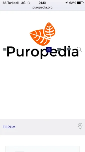 3.webp