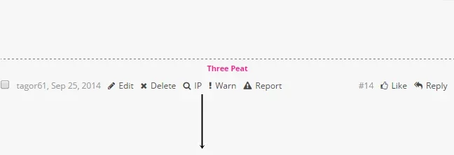 bottom.webp
