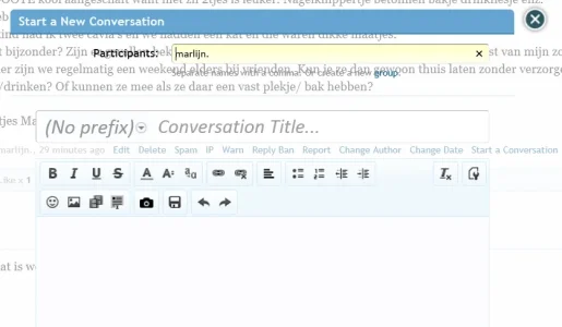 bg.webp