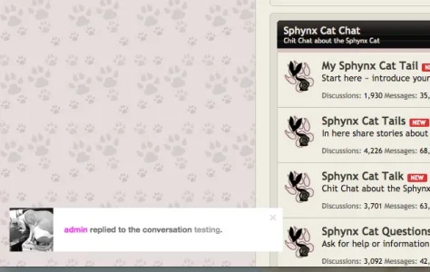 Screen Shot 2014-10-18 at 10.26.27 AM.webp