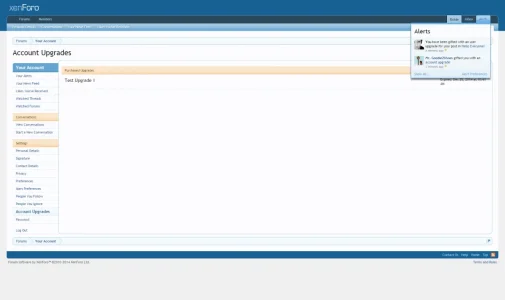 5.webp