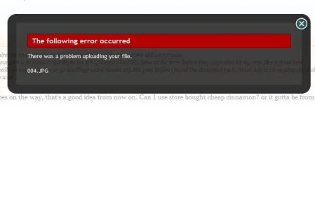 error.webp