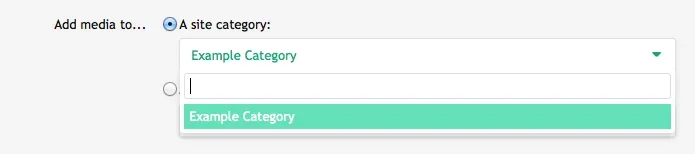 dropdown.webp