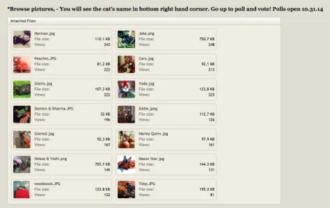 Screen Shot 2014-11-15 at 5.27.01 AM.webp