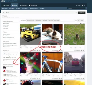 Capture.webp