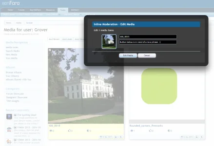 Edit Media button.webp