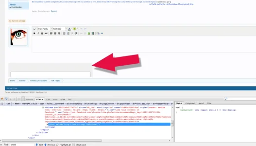 beta6bug.webp