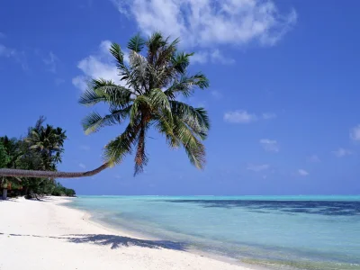 ocean-wallpaper-3.webp