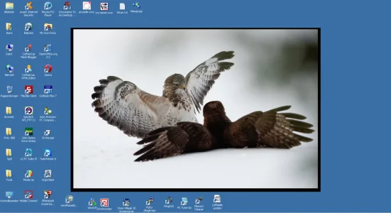 Skärmklipp.webp