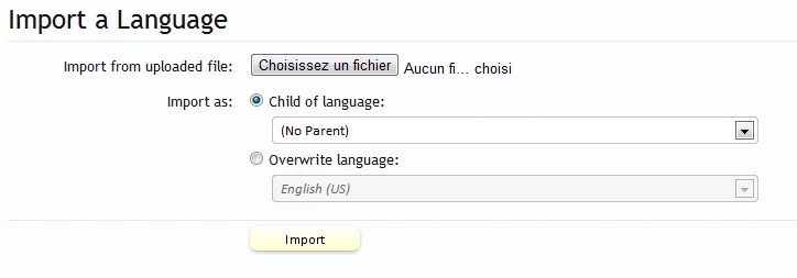 import_language.webp