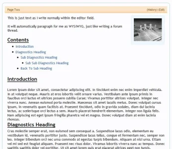 wiki2.webp