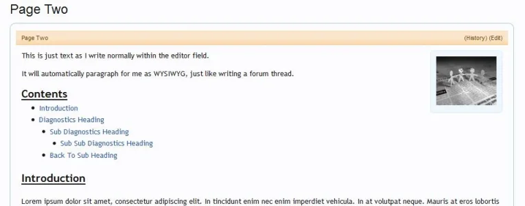 wiki5.webp