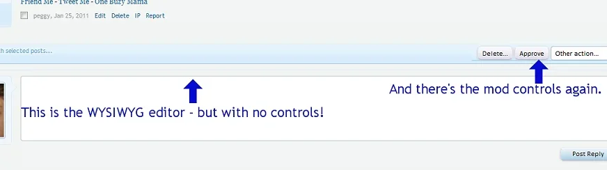 wysiwyg.webp