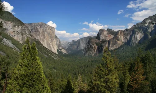 YosemitePark2_amk.webp
